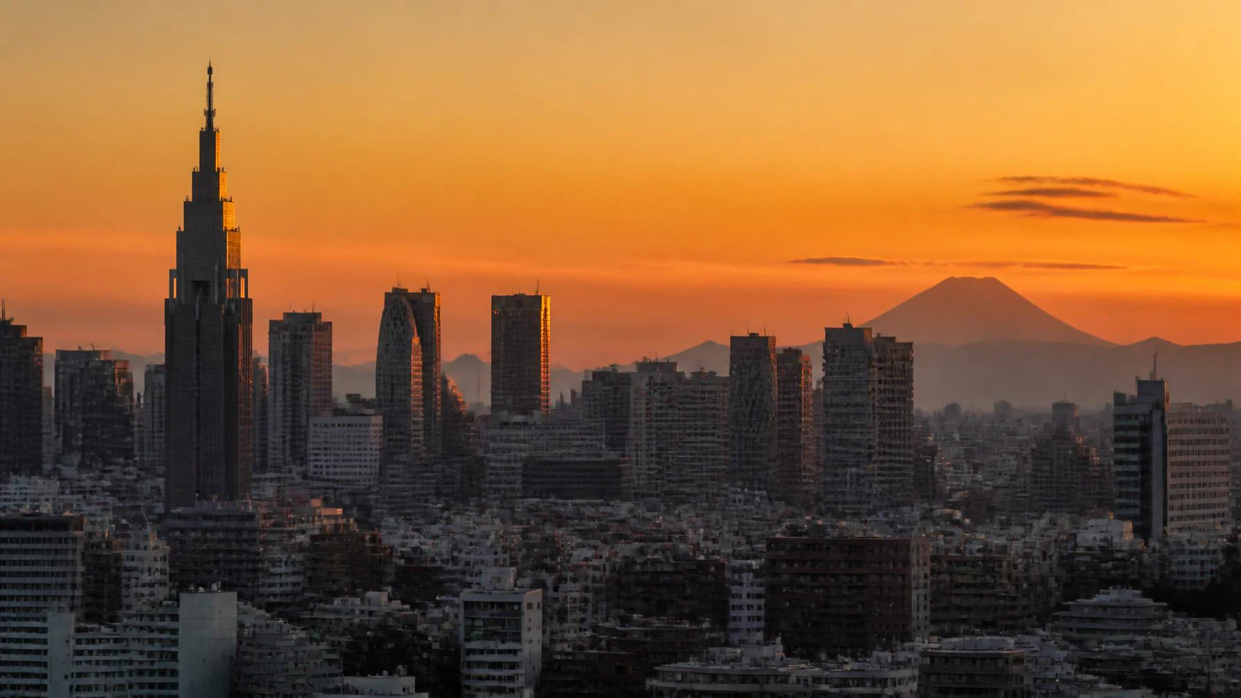 Iconic Japan skyline, Ceejay Intelligence builds custom business software for Japanese tech, manufacturing and hospitality businesses.